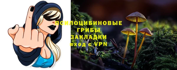 шишки Волоколамск
